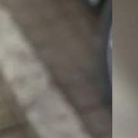 張書瑋