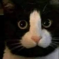 愛愛愛